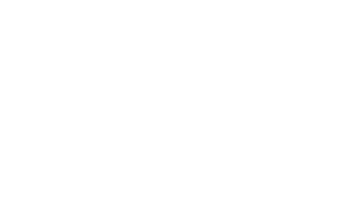 logo localiza ZARP